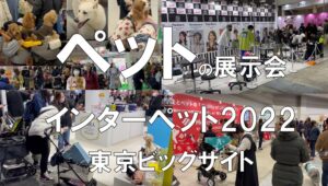ペットの展示会_インターペット_東京ビッグサイト_展示会営業術