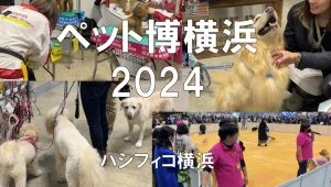 ペット博2024・パシフィコ横浜・展示会営業術