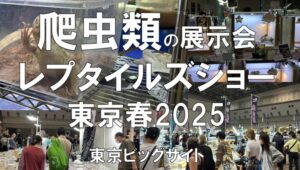 爬虫類の展示会：ジャパンレプタイルズショー東京・BIG春・東京ビッグサイト・展示会営業術