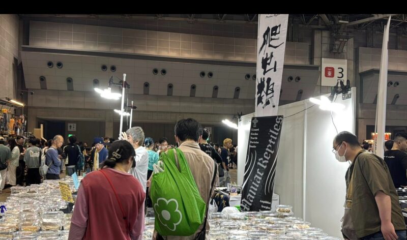 ジャパンレプタイルズショー東京・BIG春の会場の様子3_展示会営業術