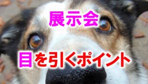 展示会で目を引くポイント_展示会営業術
