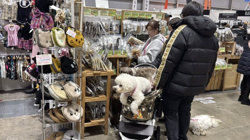 ペット博横浜20126の会場の様子4_展示会営業術