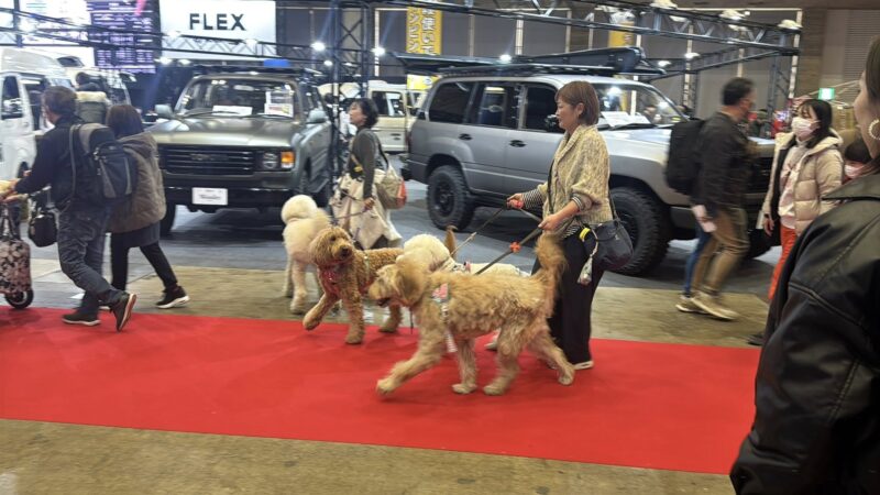 キャンピングカーショー2026の会場の様子2_展示会営業術