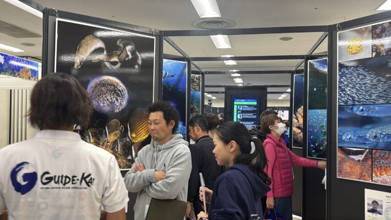 マリンダイビングフェア2026の会場の様子_展示会営業術