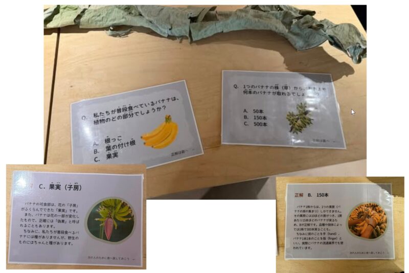 クイズのコツ_展示会営業術